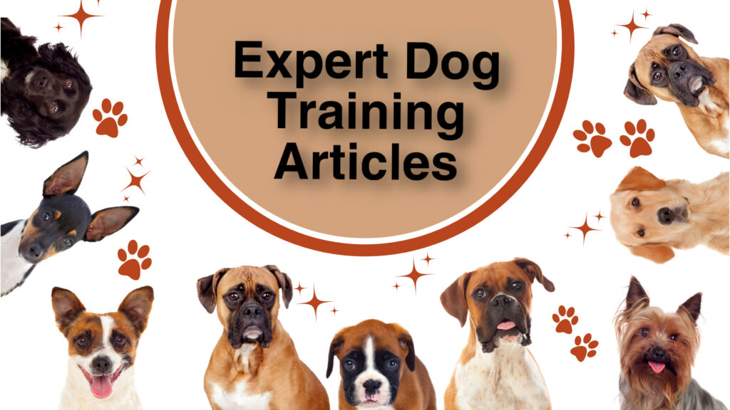 Dog Training Articles